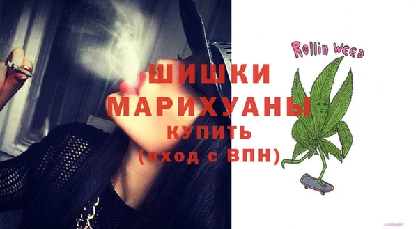 прущие грибы Новокубанск