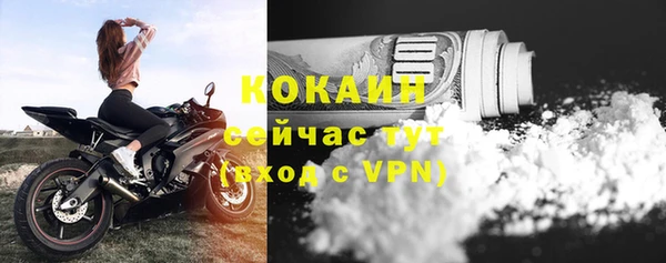 гашик Новодвинск