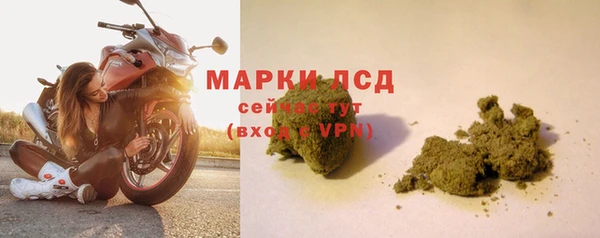 гашик Новодвинск