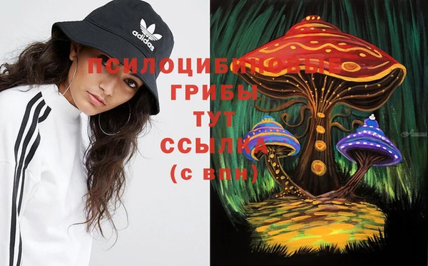 гашик Новодвинск