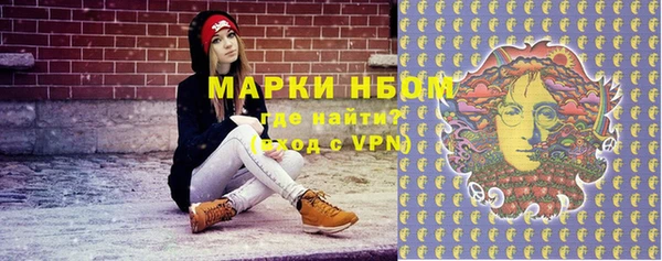прущие грибы Новокубанск