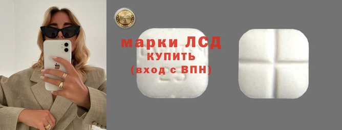 прущие грибы Новокубанск