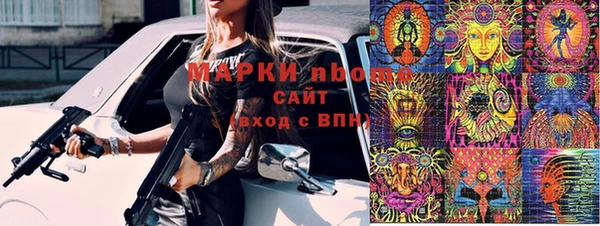 гашик Новодвинск