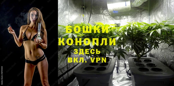 гашик Новодвинск