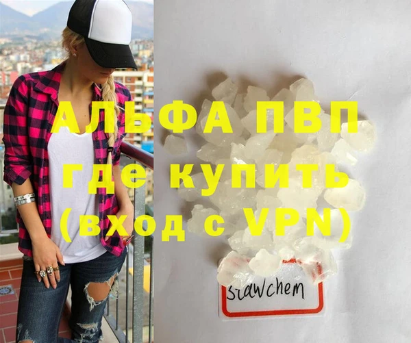 гашик Новодвинск