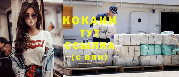гашик Новодвинск